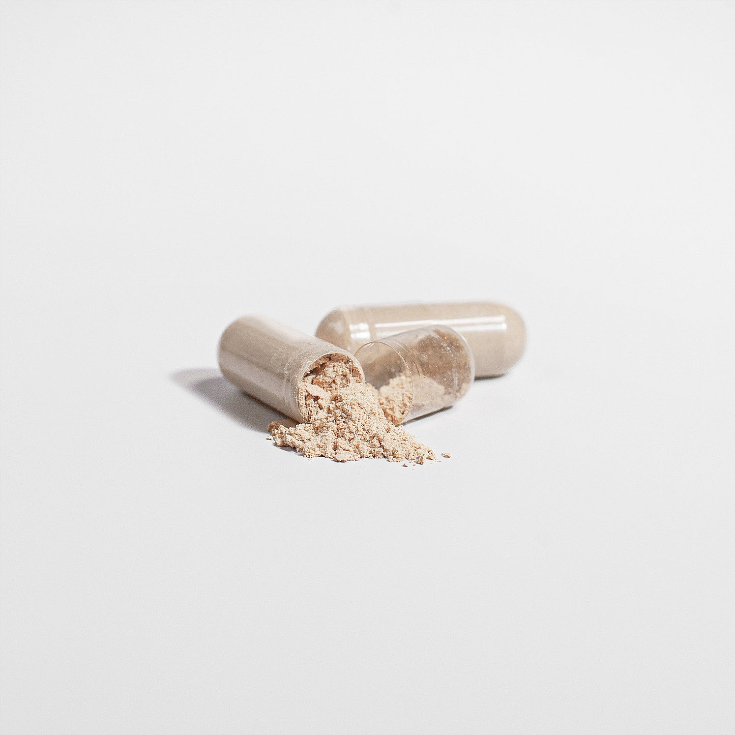 BRAIN | Lion's Mane