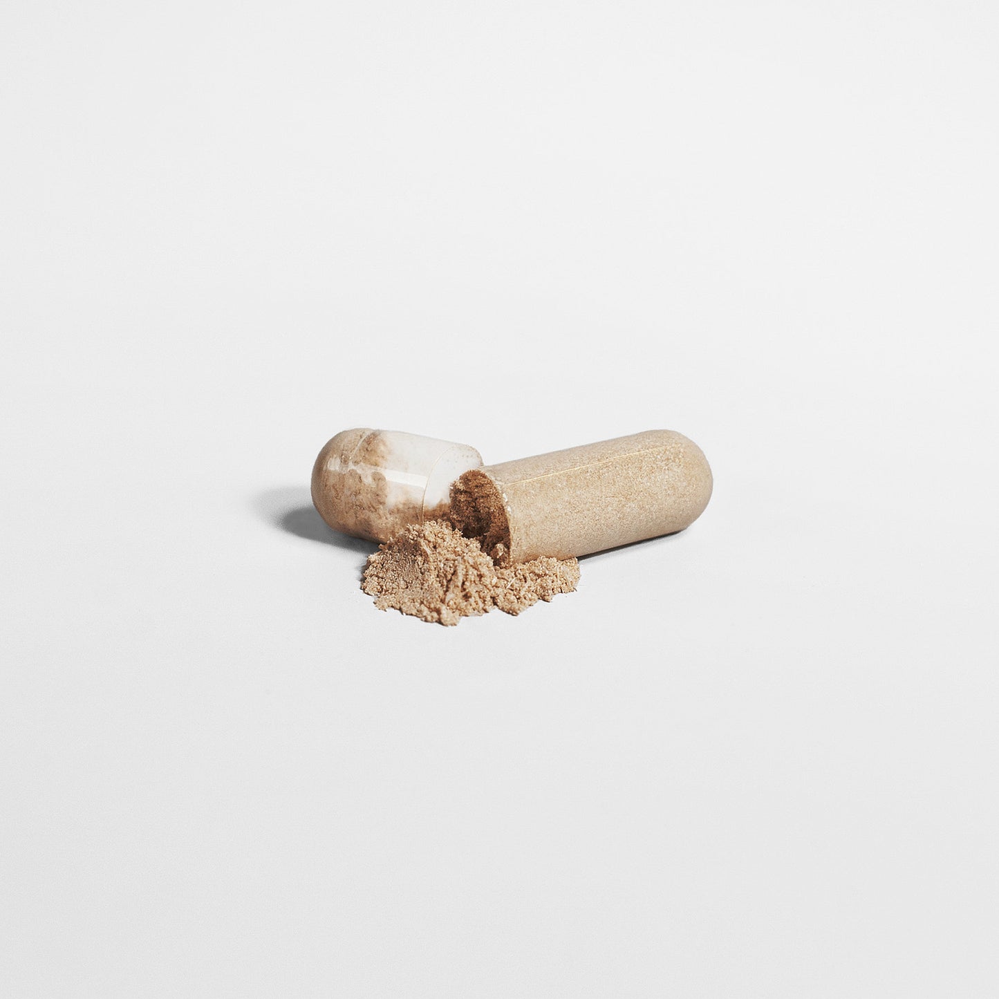 EVERYDAY FUNGI | Nootropics Blend